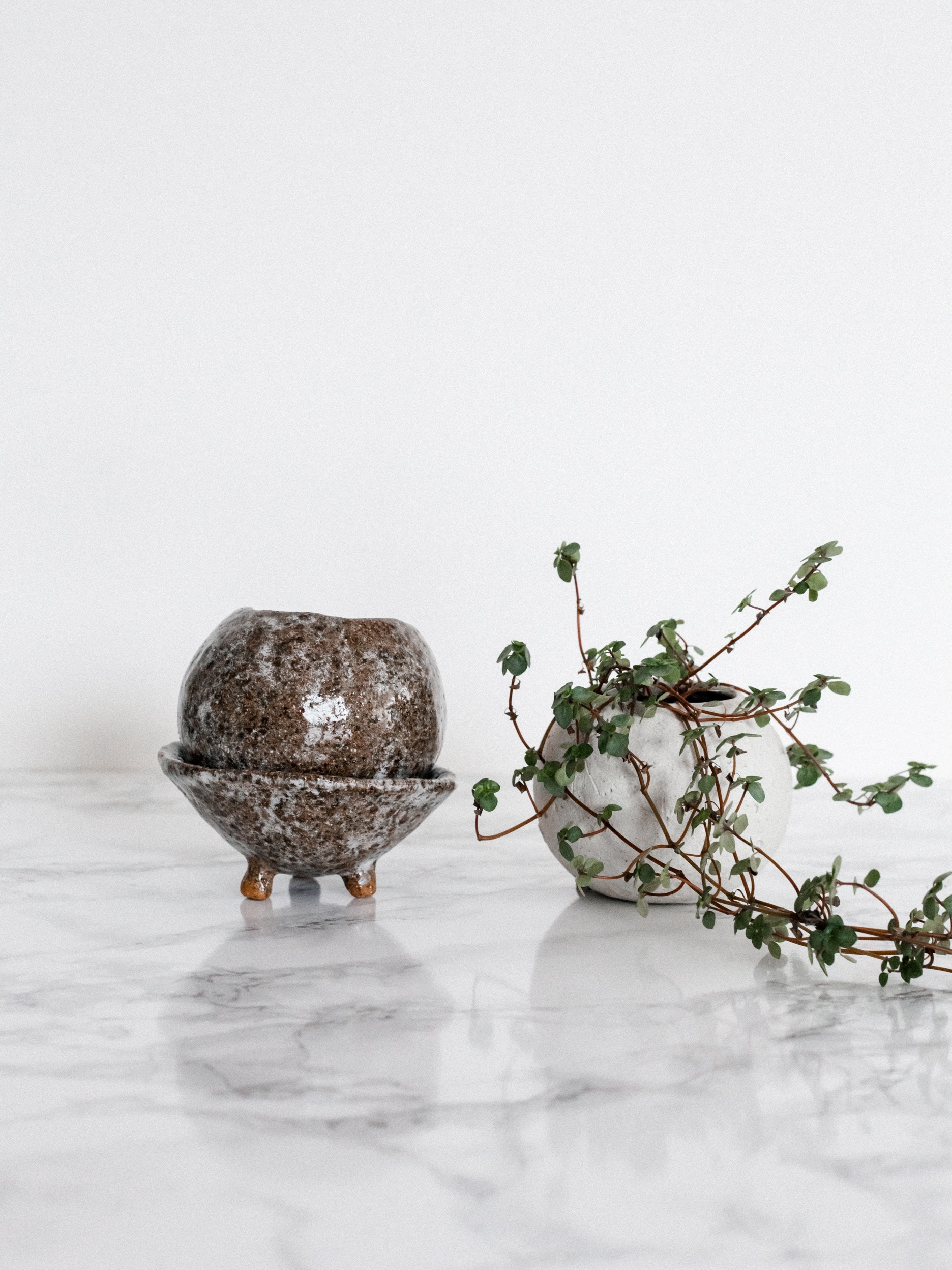 JesseBree2019Winter001sm.jpg