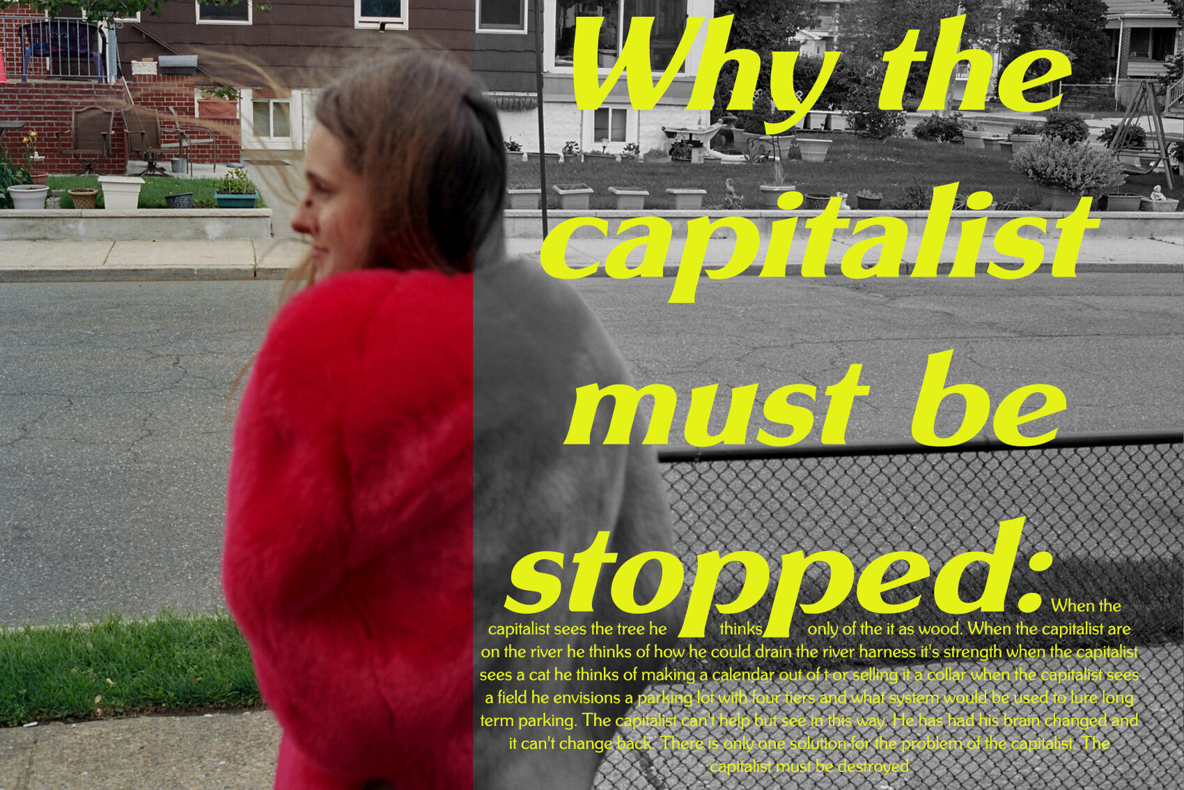 whythecapitalist.jpg