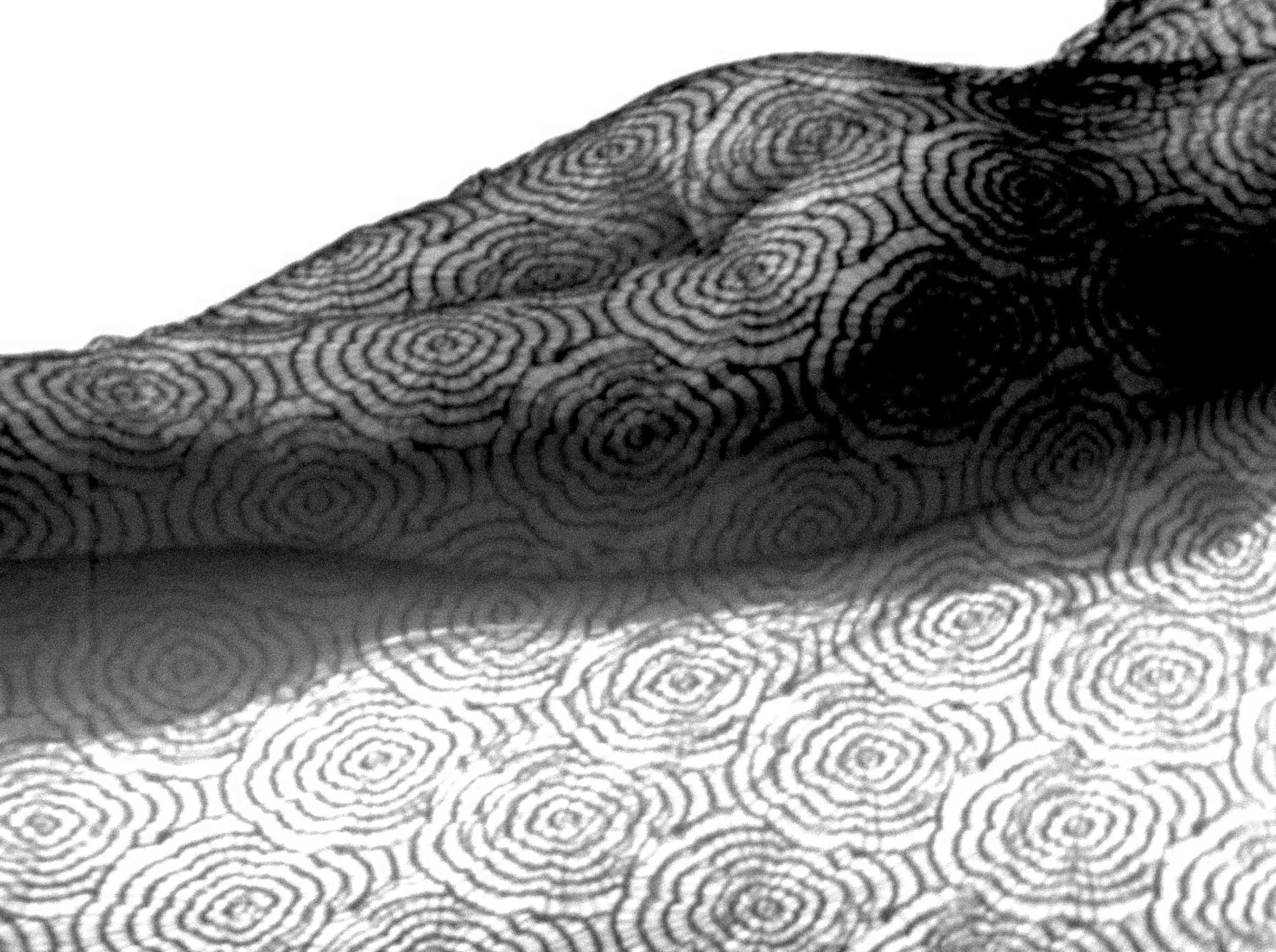 CALENDER_20flip8 copy.jpeg