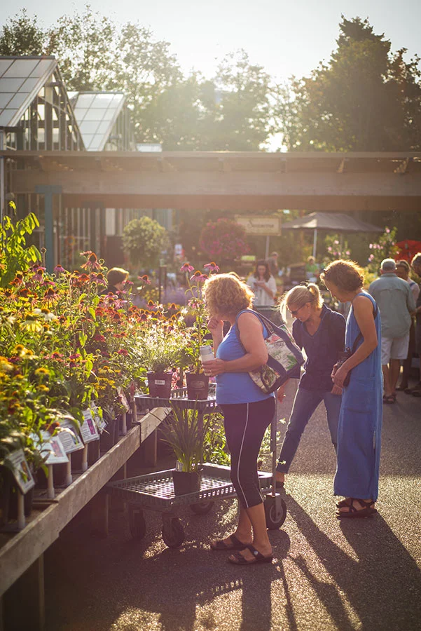 event_eveninglight.jpg