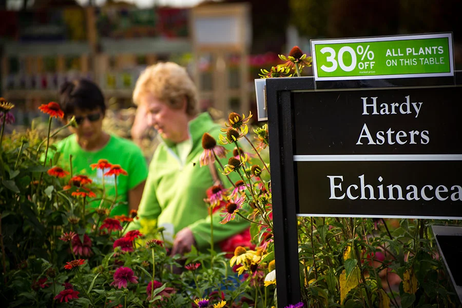 shopping_perennials_swansons.jpg