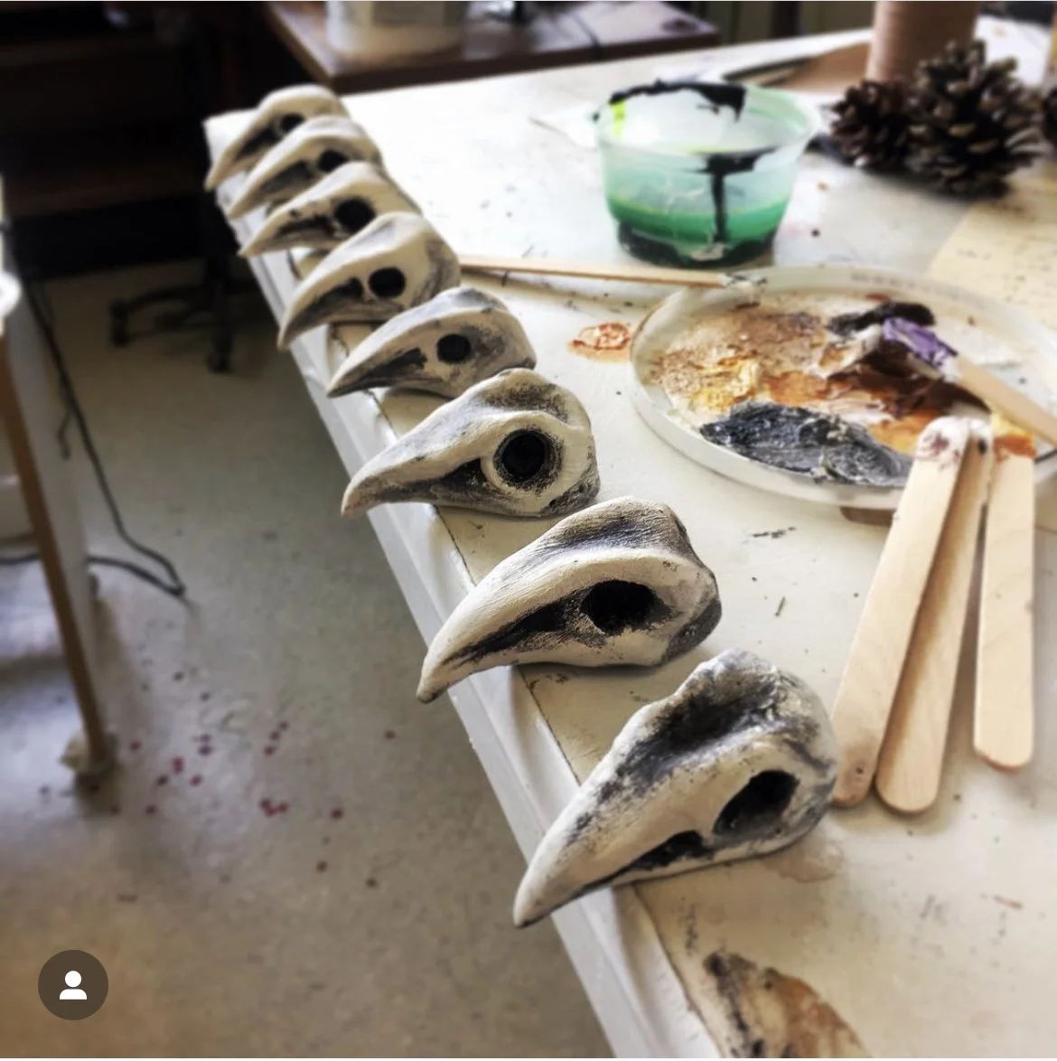  Indestructible bird skulls 