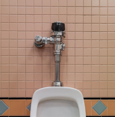 CASE STUDY SLOAN toilet .png