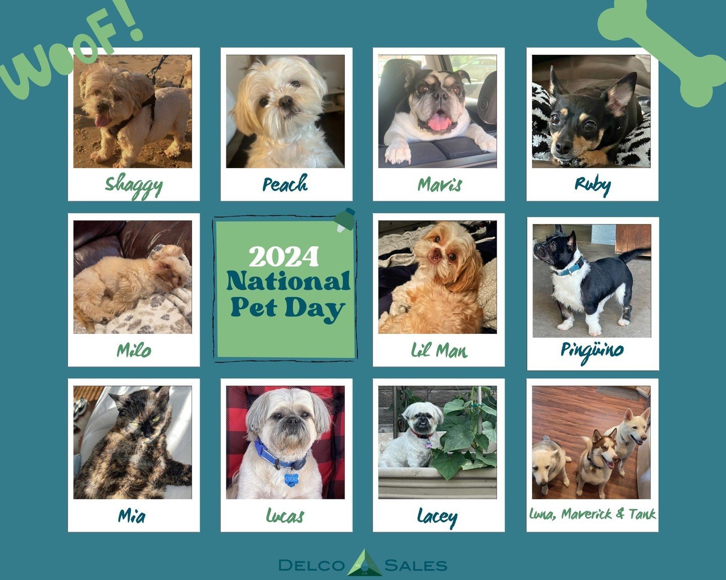 Today is National Pet Day! 🐶🐱🐰

Meet the pets that have the best parents - our Delco team! We&rsquo;re grateful for all our fur babies and the happiness they bring us each day.

P.S. Can you guess the owners to the pets? Drop a comment below ⬇️

#
