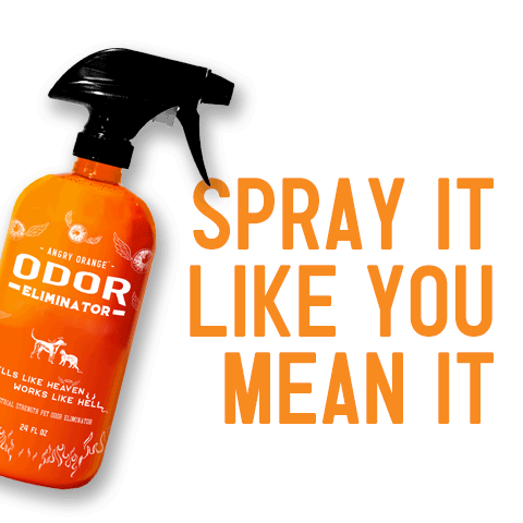 aor-spray-it-like-you-mean-it-sms-480x480px.gif