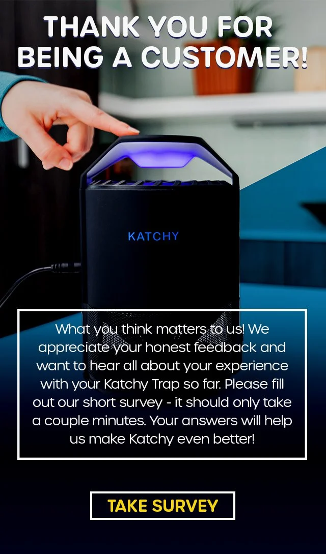 katchy-product-highlight-mobile.jpg
