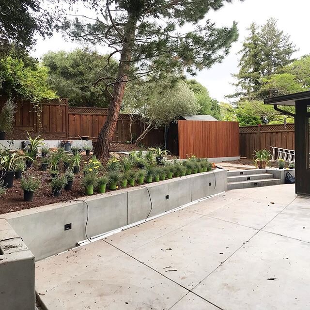 We are getting close to a completed project!  After / before of a sloped site where I designed level areas that work with the natural grade and provide multiple functional spaces and a destination area at the top level. #variegatedgreenlandscape #mod