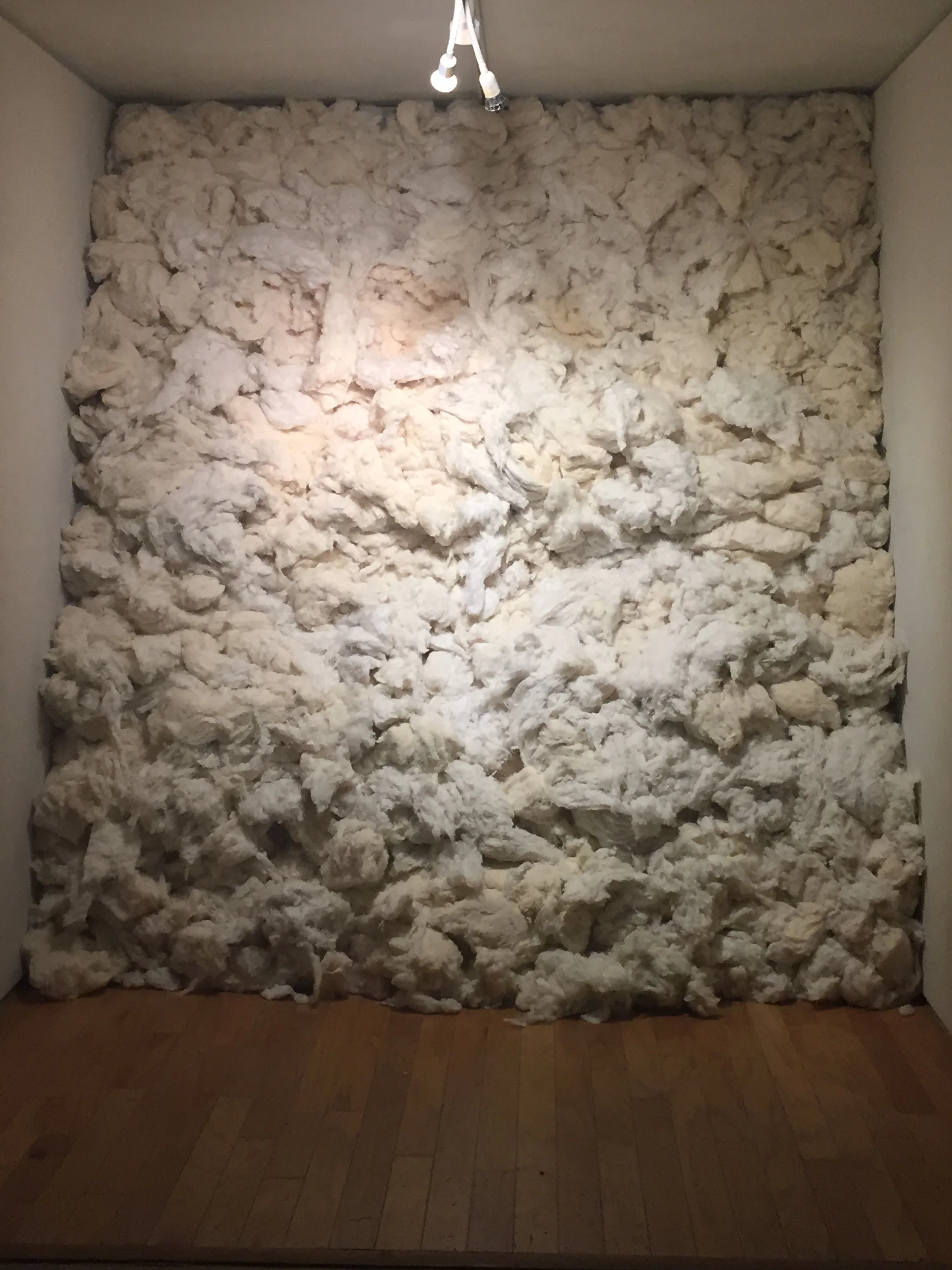 Cotton, 2017, cotton, found shipping container, Photo by Shannon Ludington.JPG