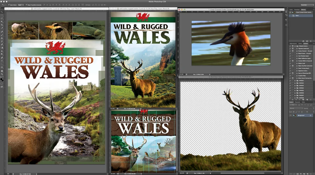 Wild-Rugged-Wales_variations.jpg
