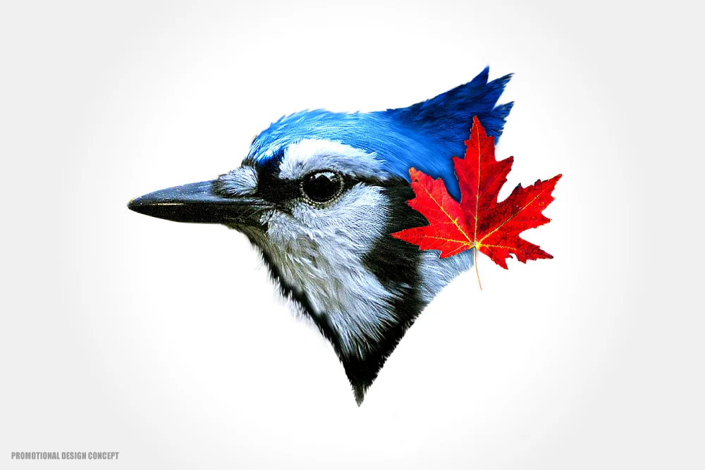 Blue-jays-logo-concept.jpg