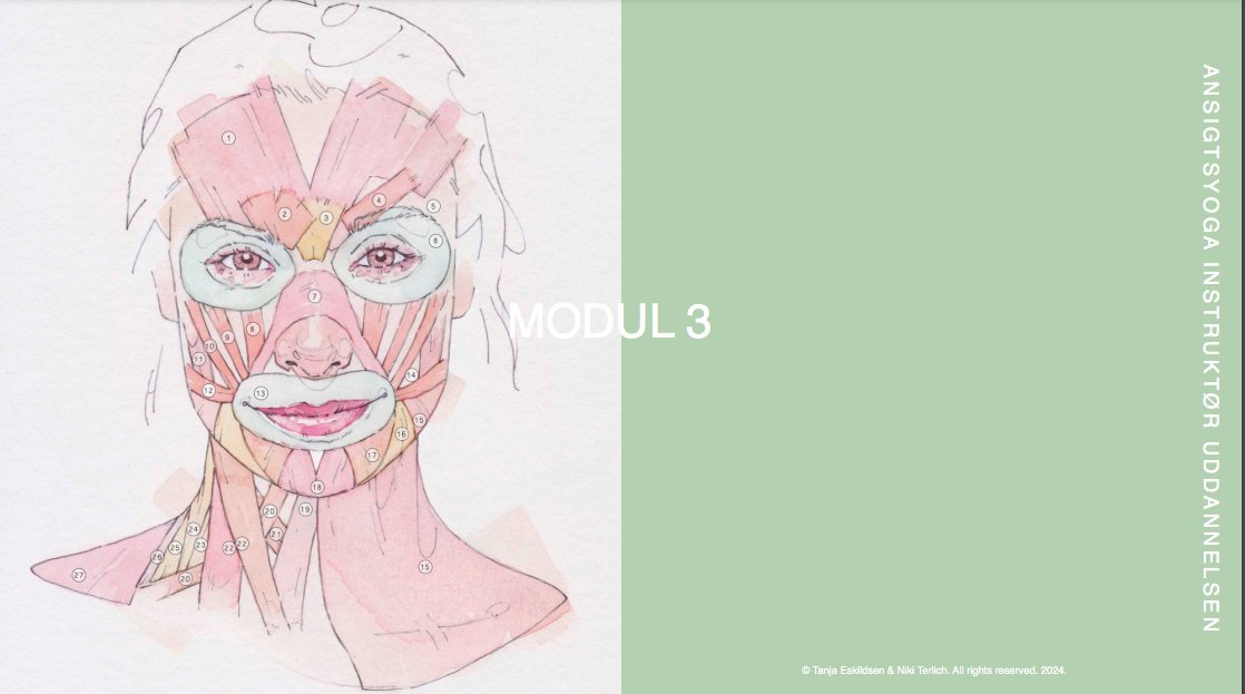 modul3.jpg