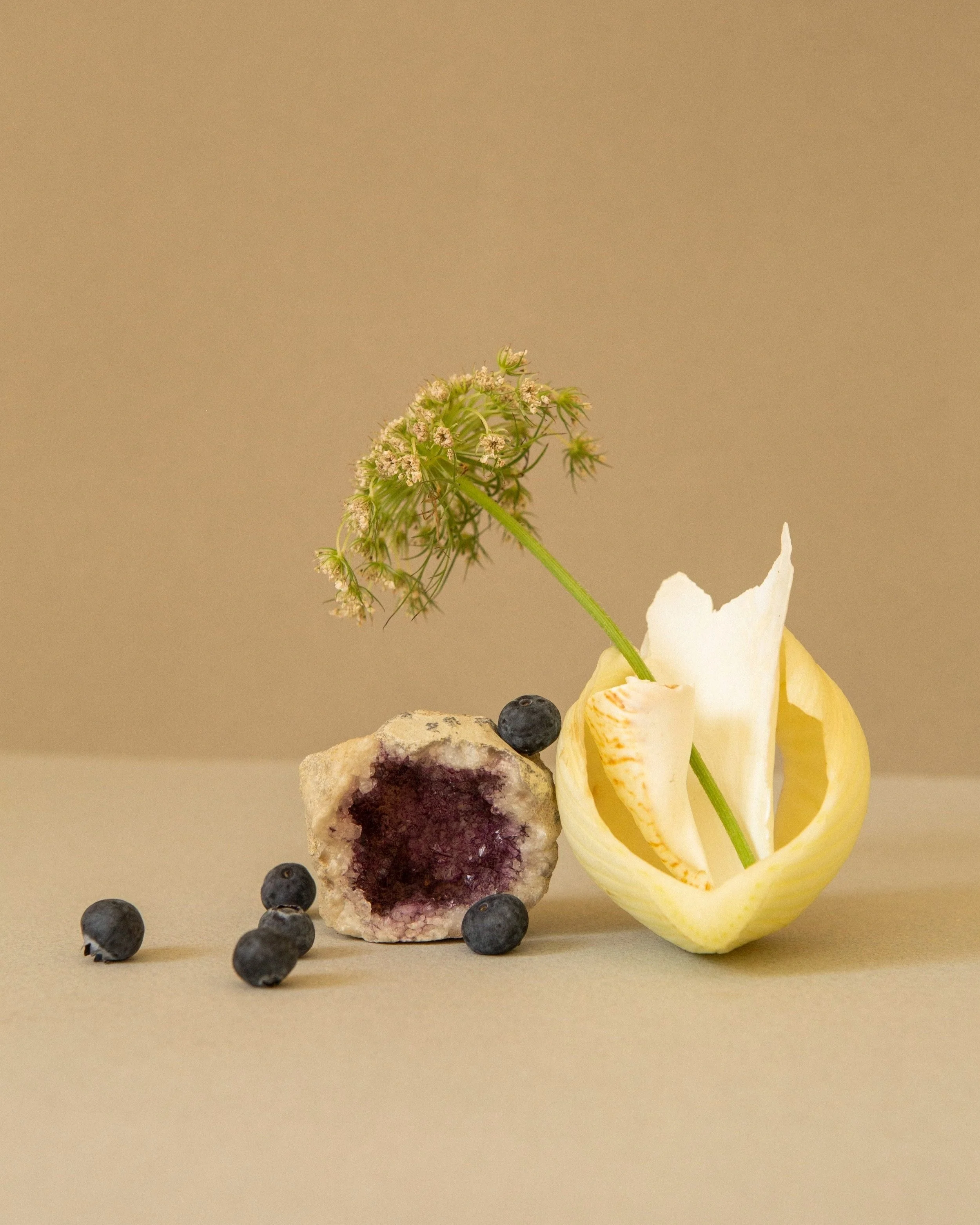 En kunstnerisk komposition med en halv skåret citron, blåbær, en ugleformet sten med en lilla indre, en blomsterstængel med grøn blomst og et lille blomsterstand, alt placeret på en beige baggrund.