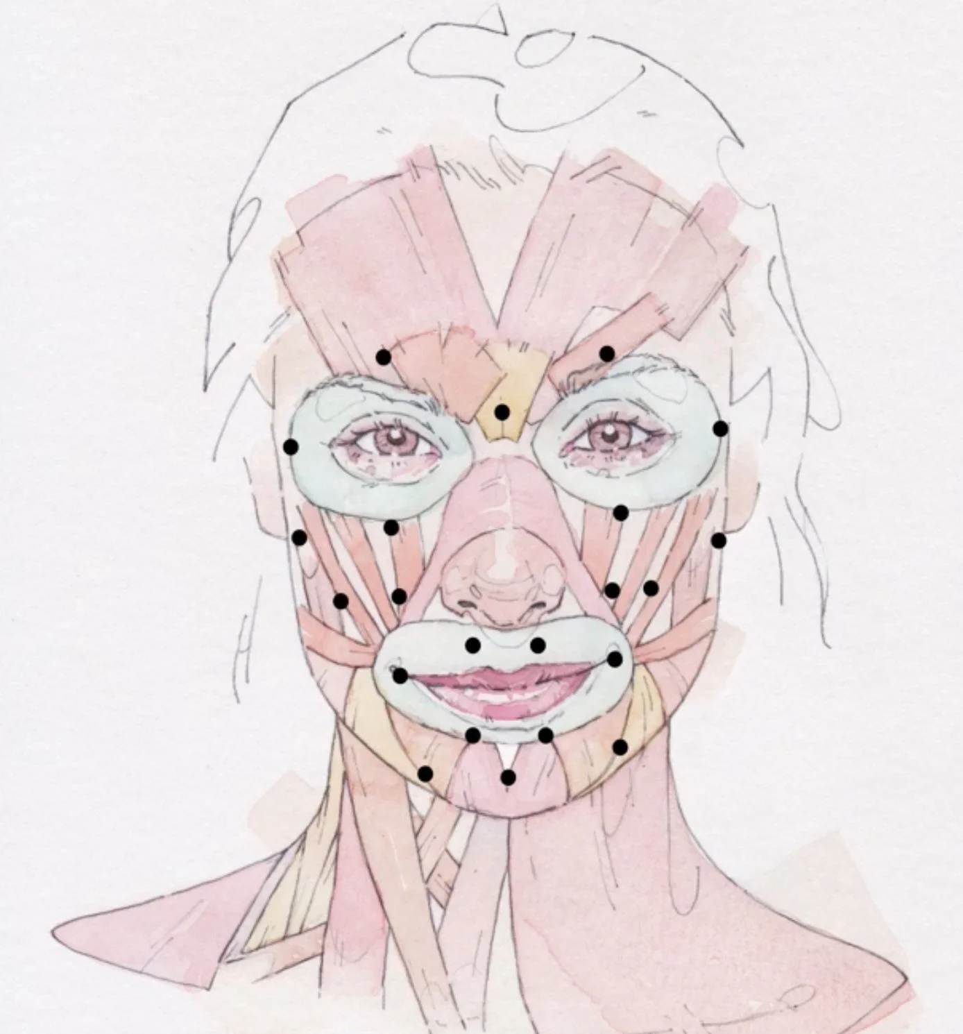 Bindevævet gua sha cellulite