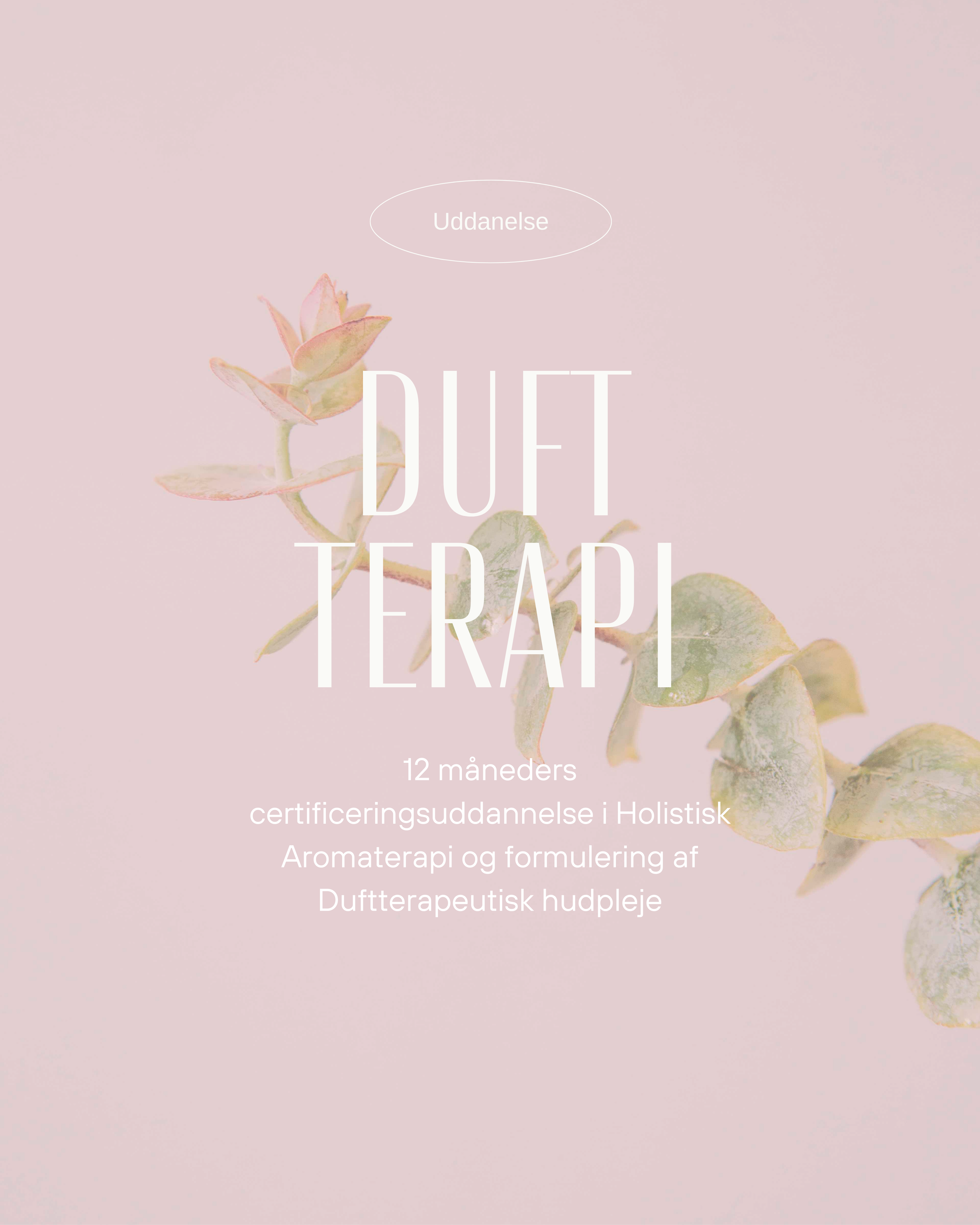 Copy of Simple Skincare Carousel Instagram Post (12).png