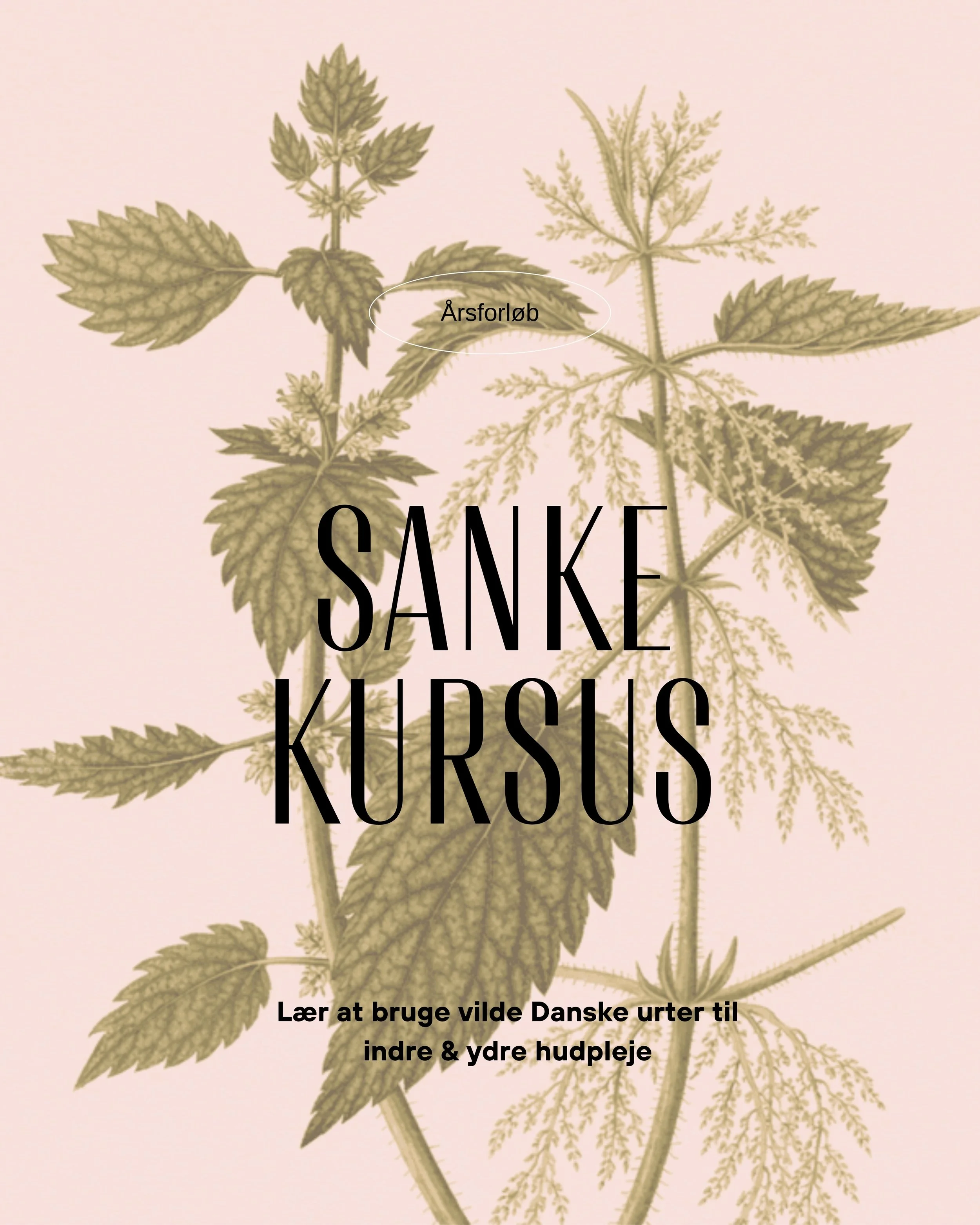 Sank din hudpleje 2026