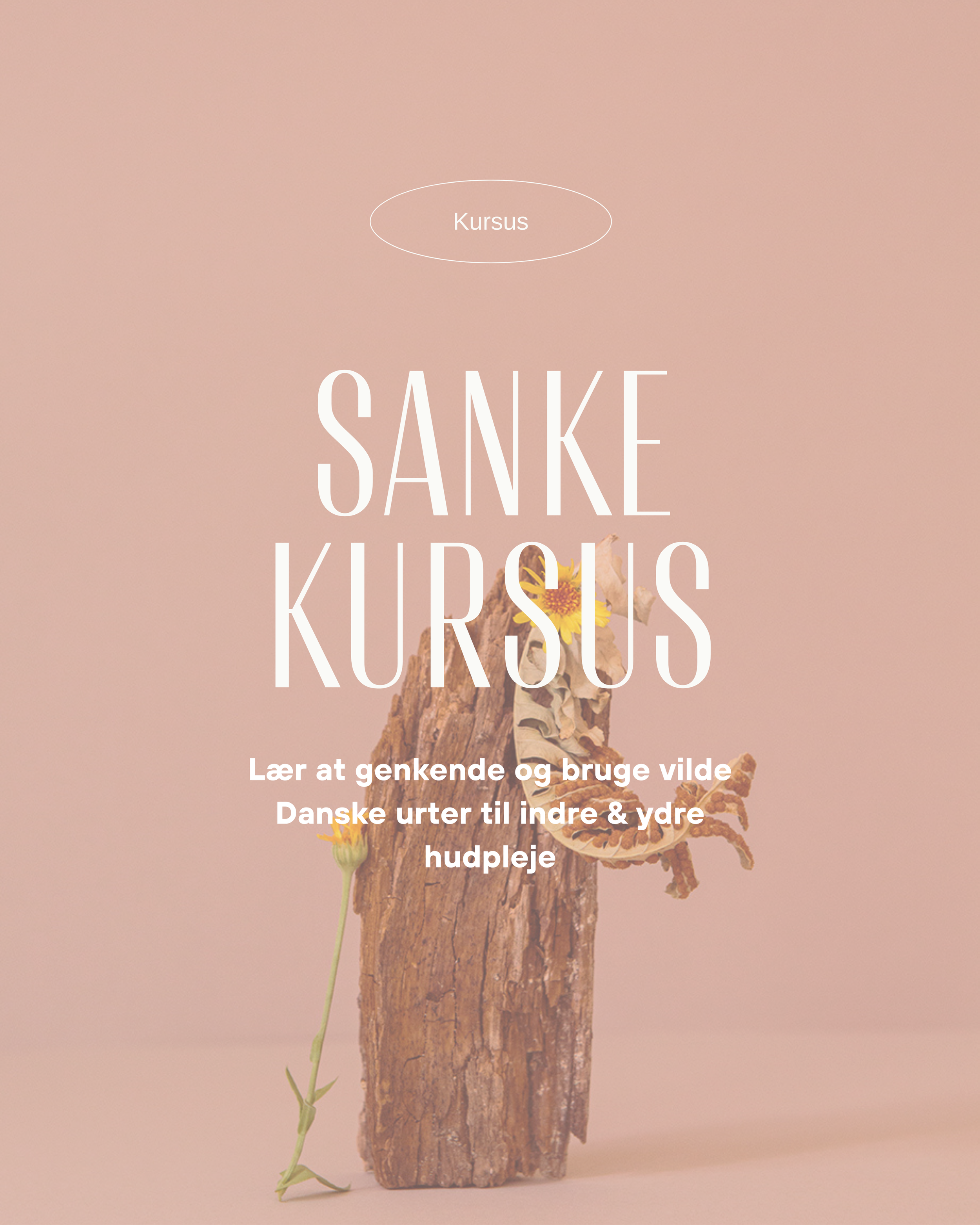 Sankekursus - Lær at genkende og bruge vilde Danske urter til indre & ydre hudpleje