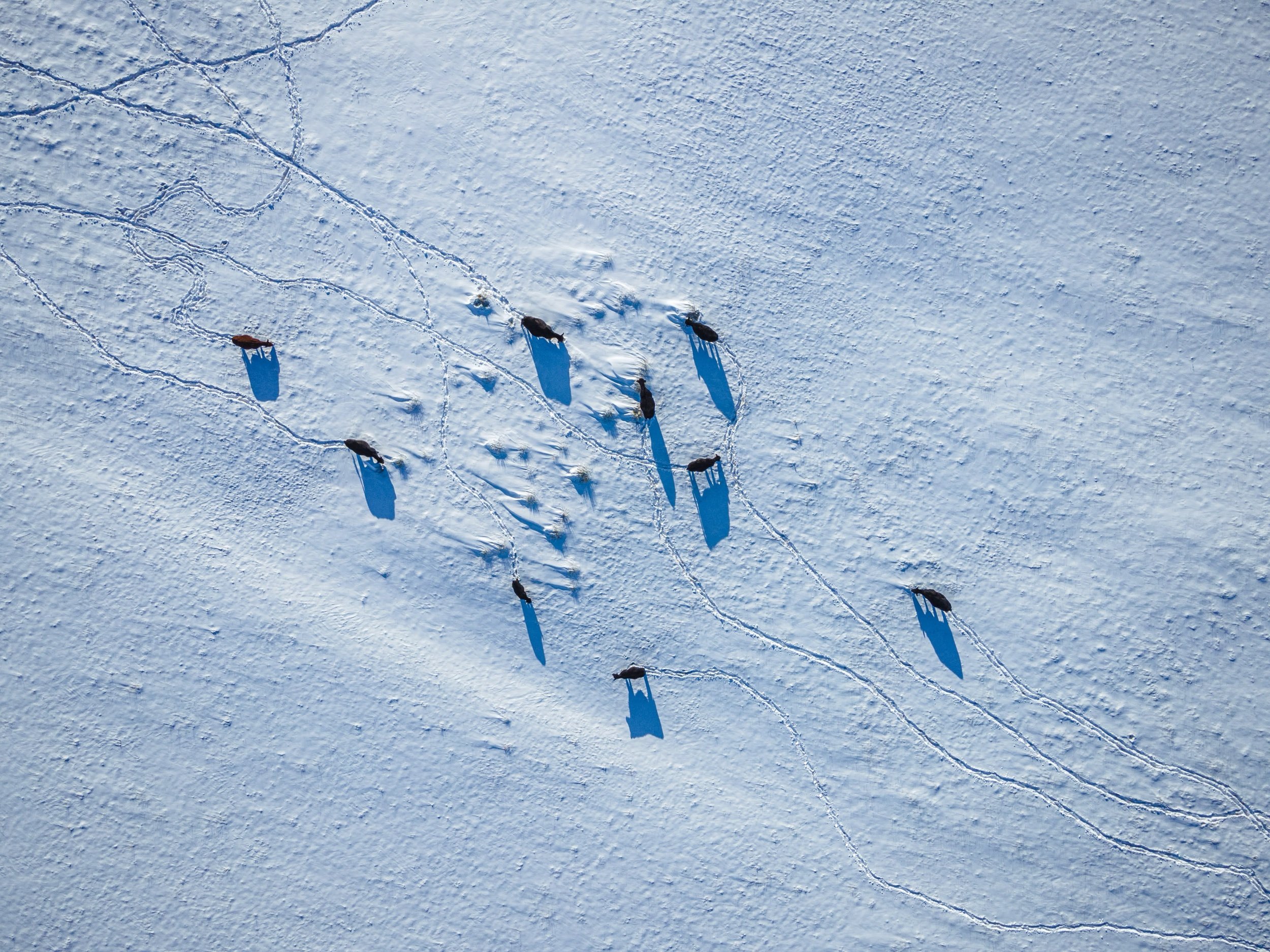 dji_0018-2_Original.jpeg