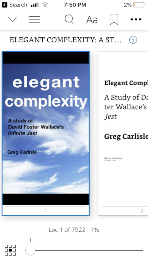 infinite-jest-guide-greg-carlisle.jpg