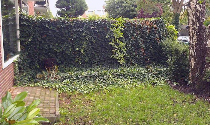 The situation before