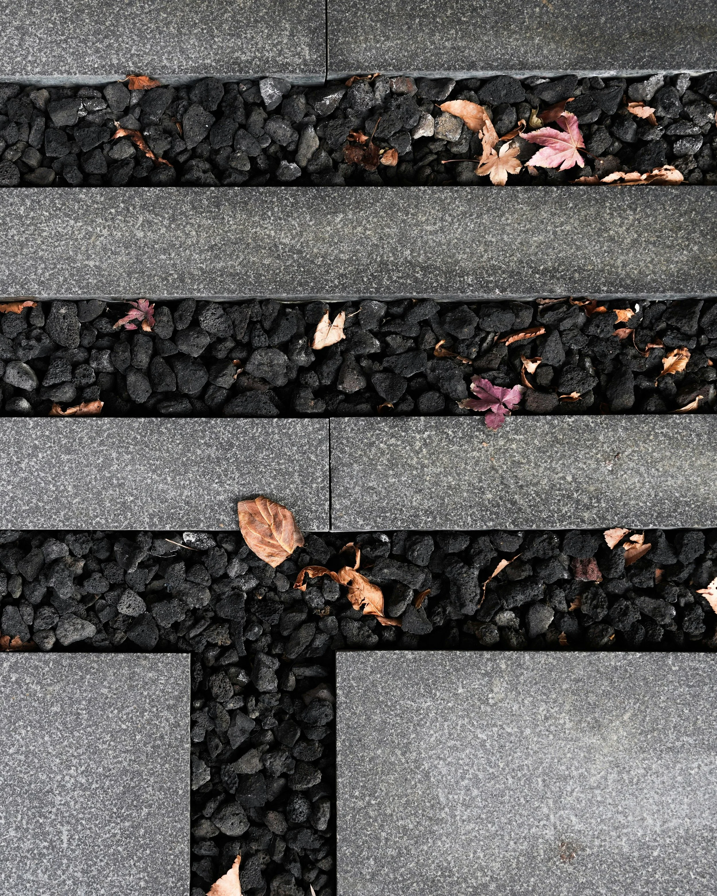 pansy-lau-h30eOCp3lJg-unsplash.jpg