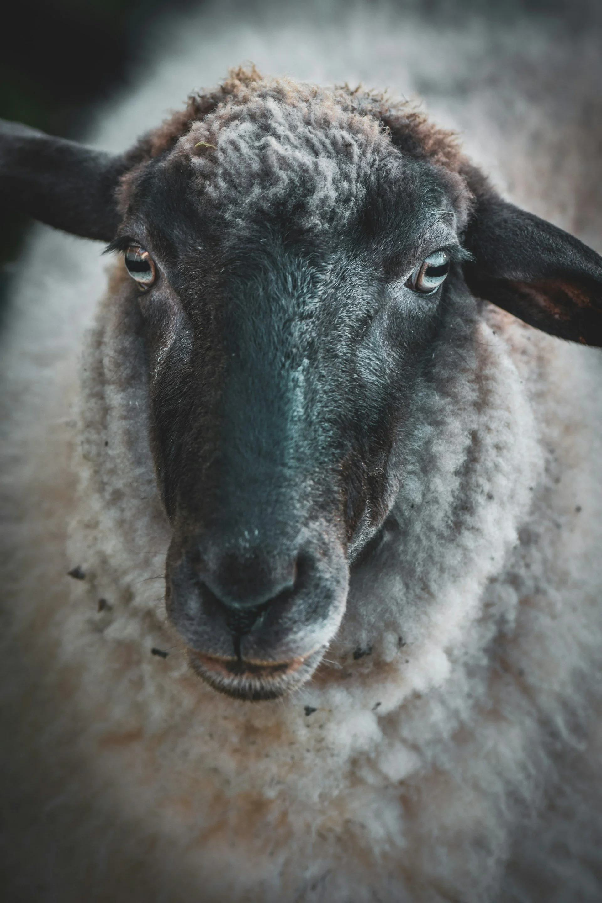 leon-kohle-0DUtvP_IpRg-unsplash.jpg