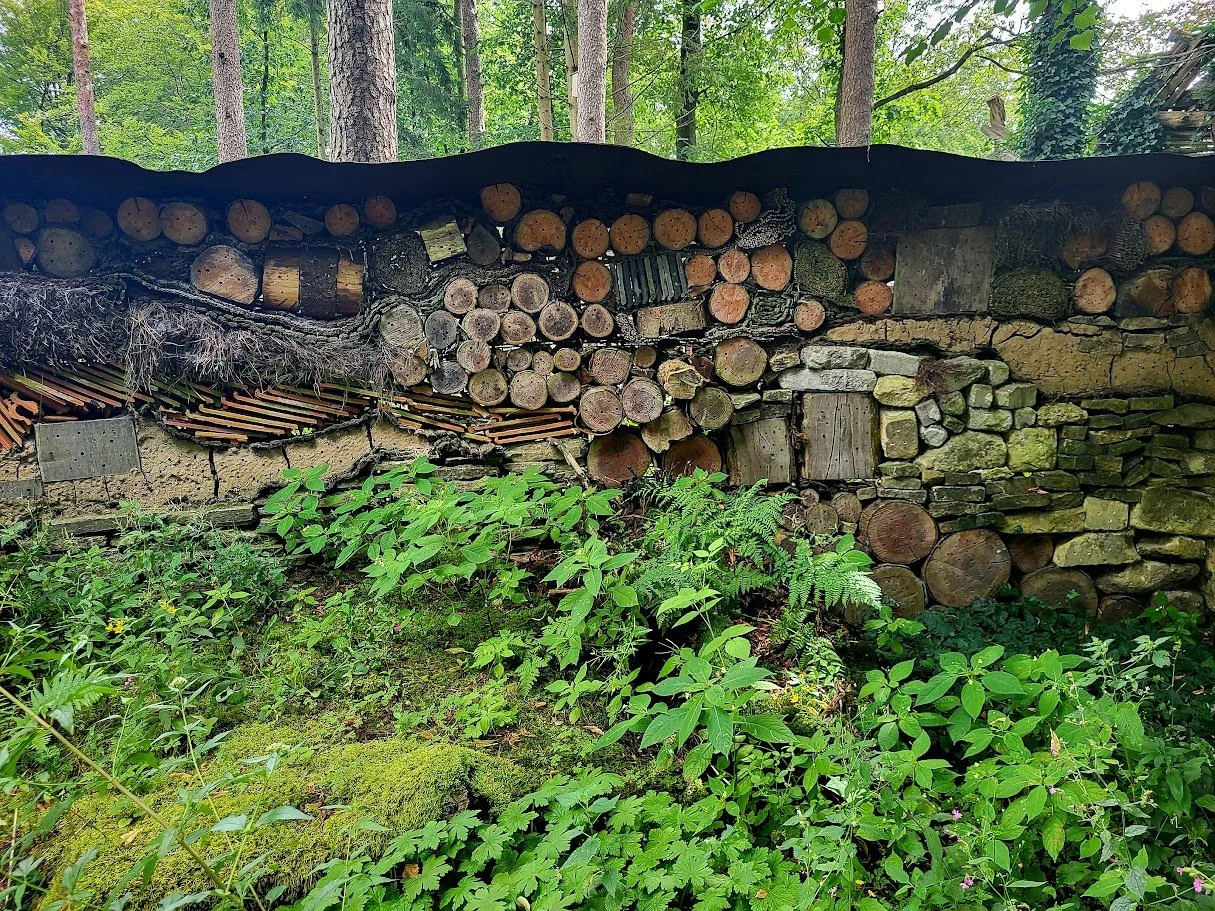 20240804_112142.jpg