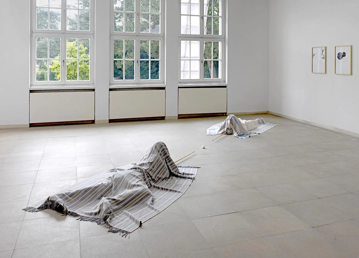 Installation Dialog, 2011