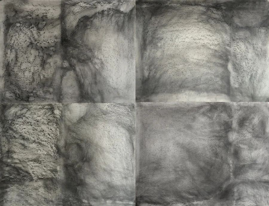 Untitled, 2015 Chalk, pastel and pencil on paper 100 x 130 cm