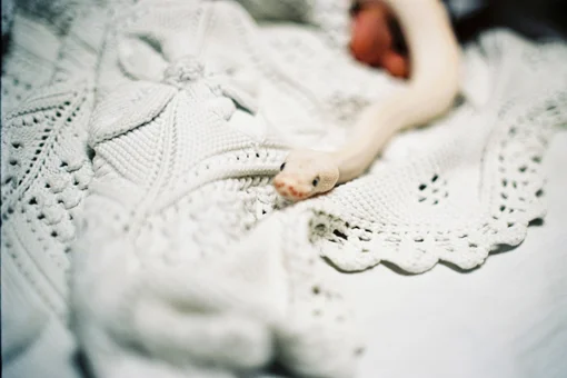 Untitled (from the series "L'humour Vitrée"), 2014Analog photo13 x 19 cm and 24 x 36 cm