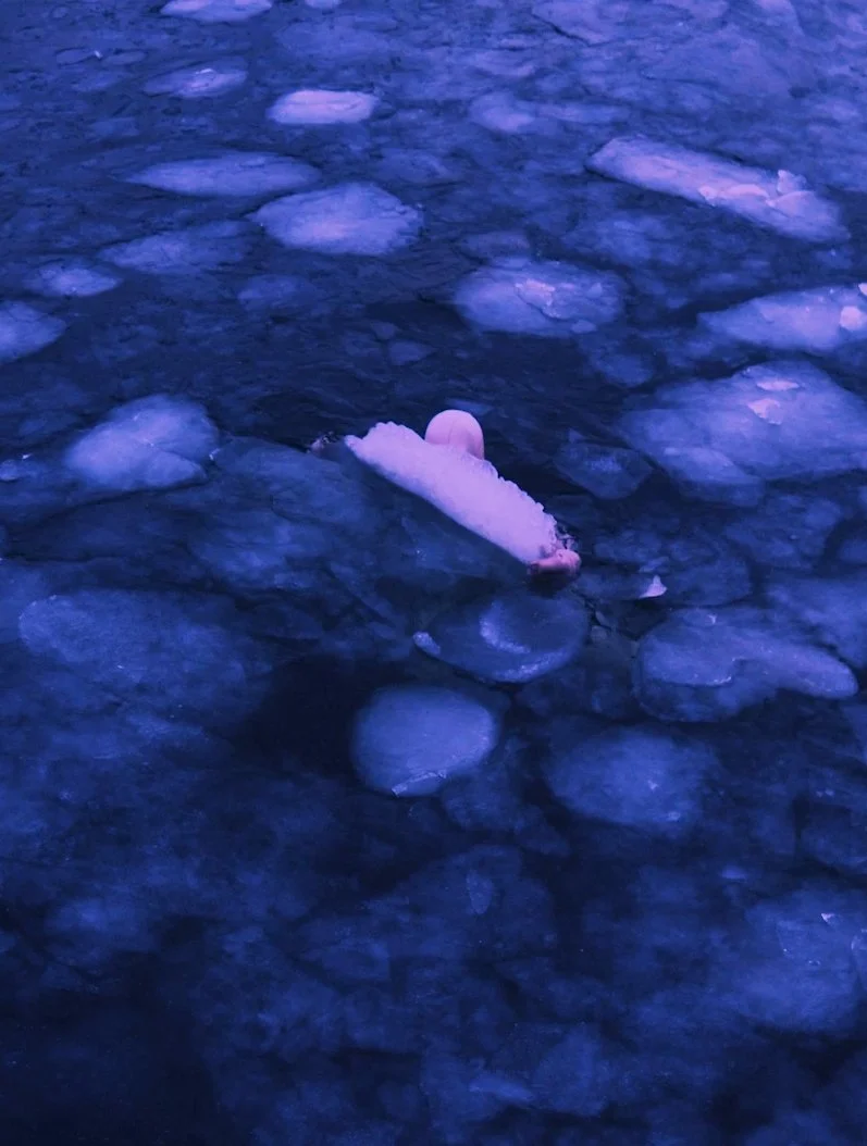 2_Waterflux Icegut screening  kopi 2.JPG