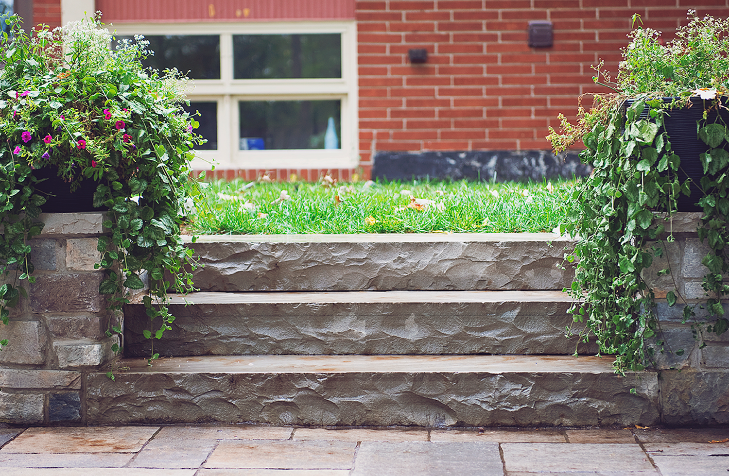 Landscaping-Pools-King-city.png