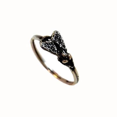 Fly Ring