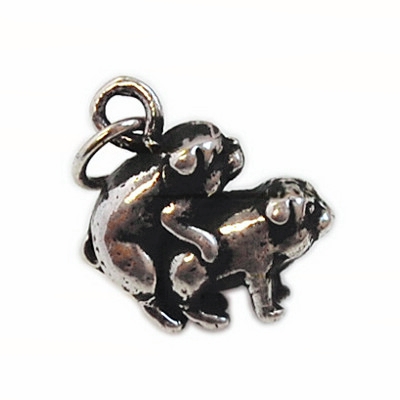 Making Bacon Charm