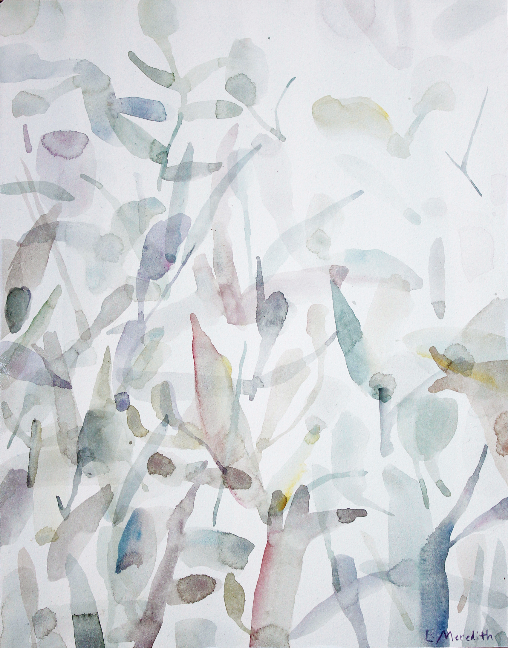 Water_colours_colour__.jpg