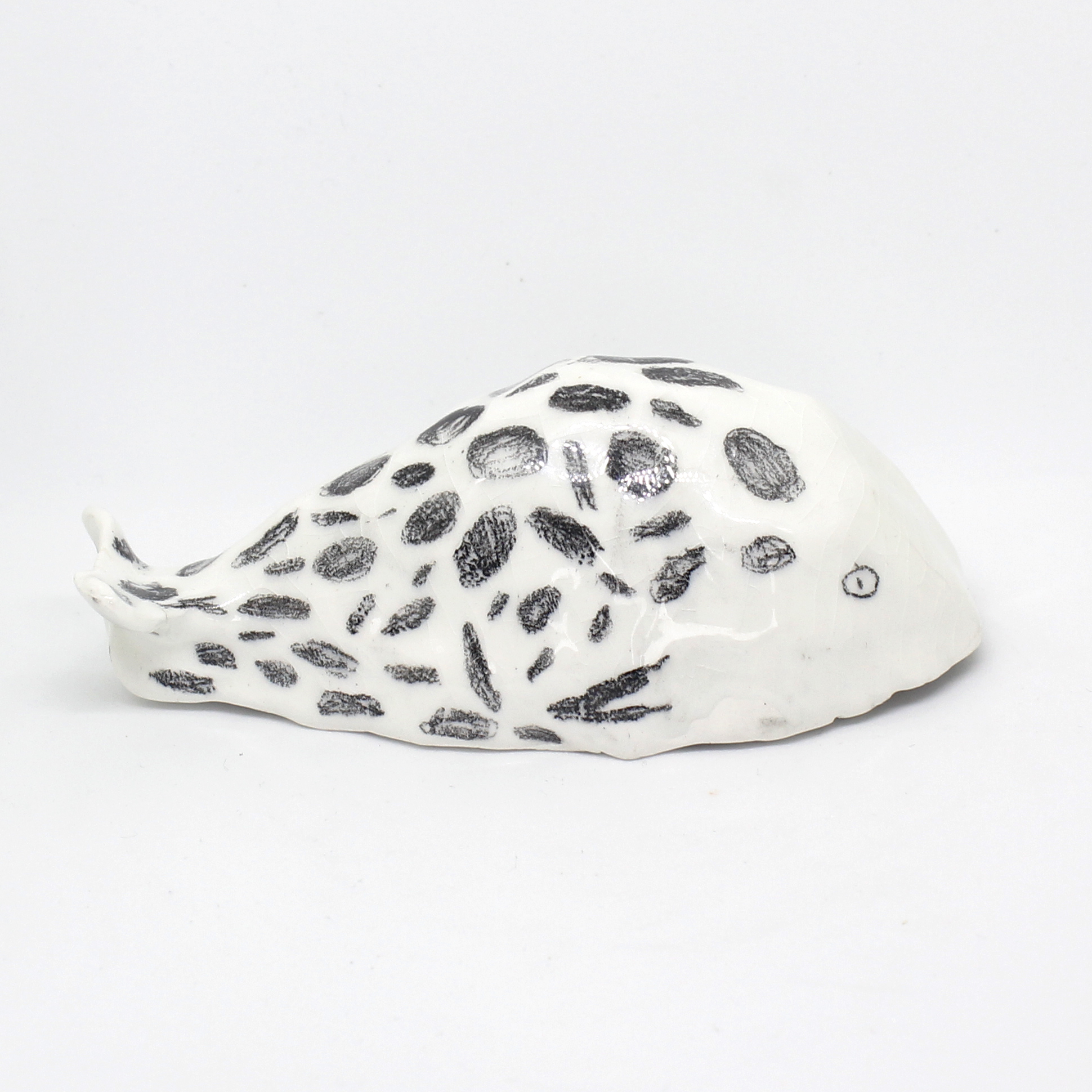 whale eleanor meredith