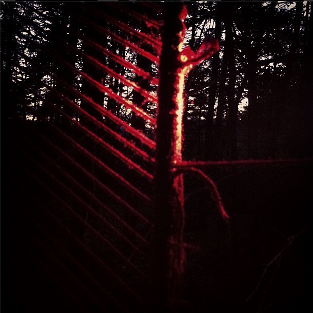  The view at dusk.