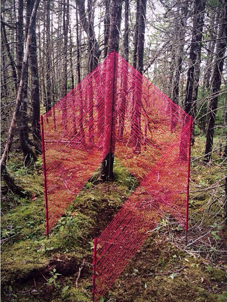 yarnframe.jpg