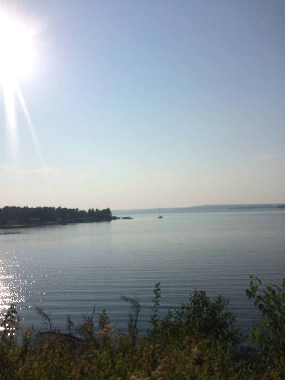  a nova scotian shoreline in late afternoon 