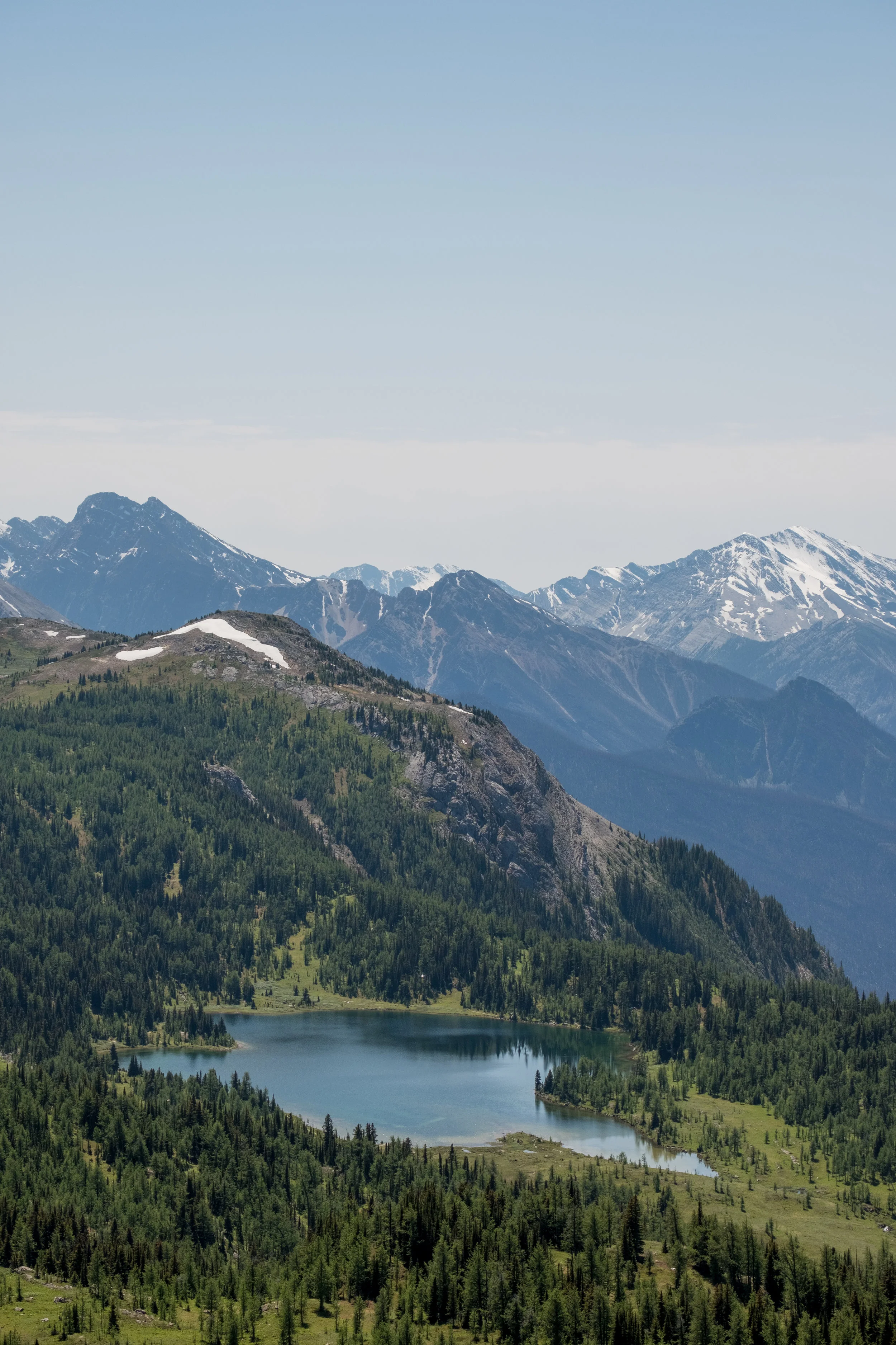Susnhine Meadows bluebird-2129.jpg