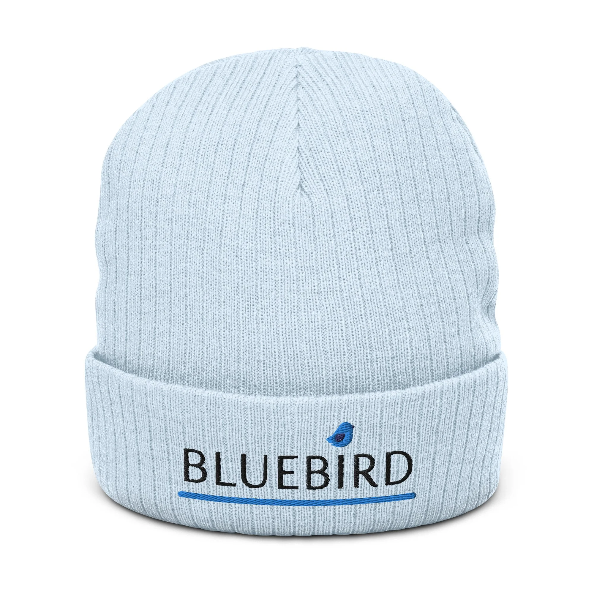 ribbed-knit-beanie-light-blue-front-64779680cfa4c.jpg