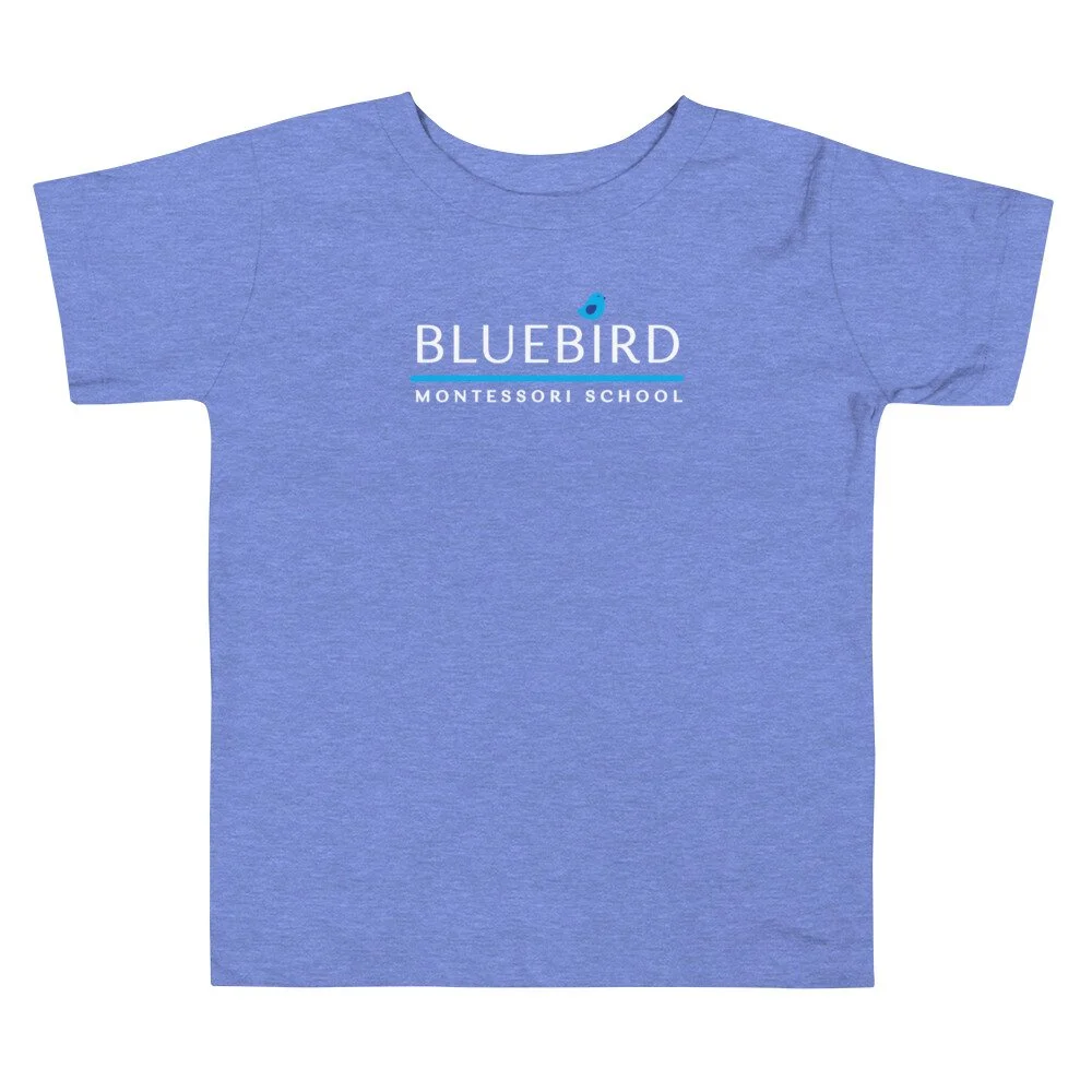 toddler-staple-tee-heather-columbia-blue-front-64ecd9cd91f9f.jpg