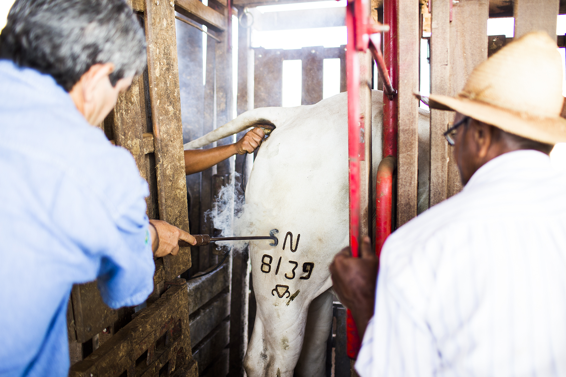BRAZIL_MATO_GROSSO_FARM_7_27_2015_0062.jpg
