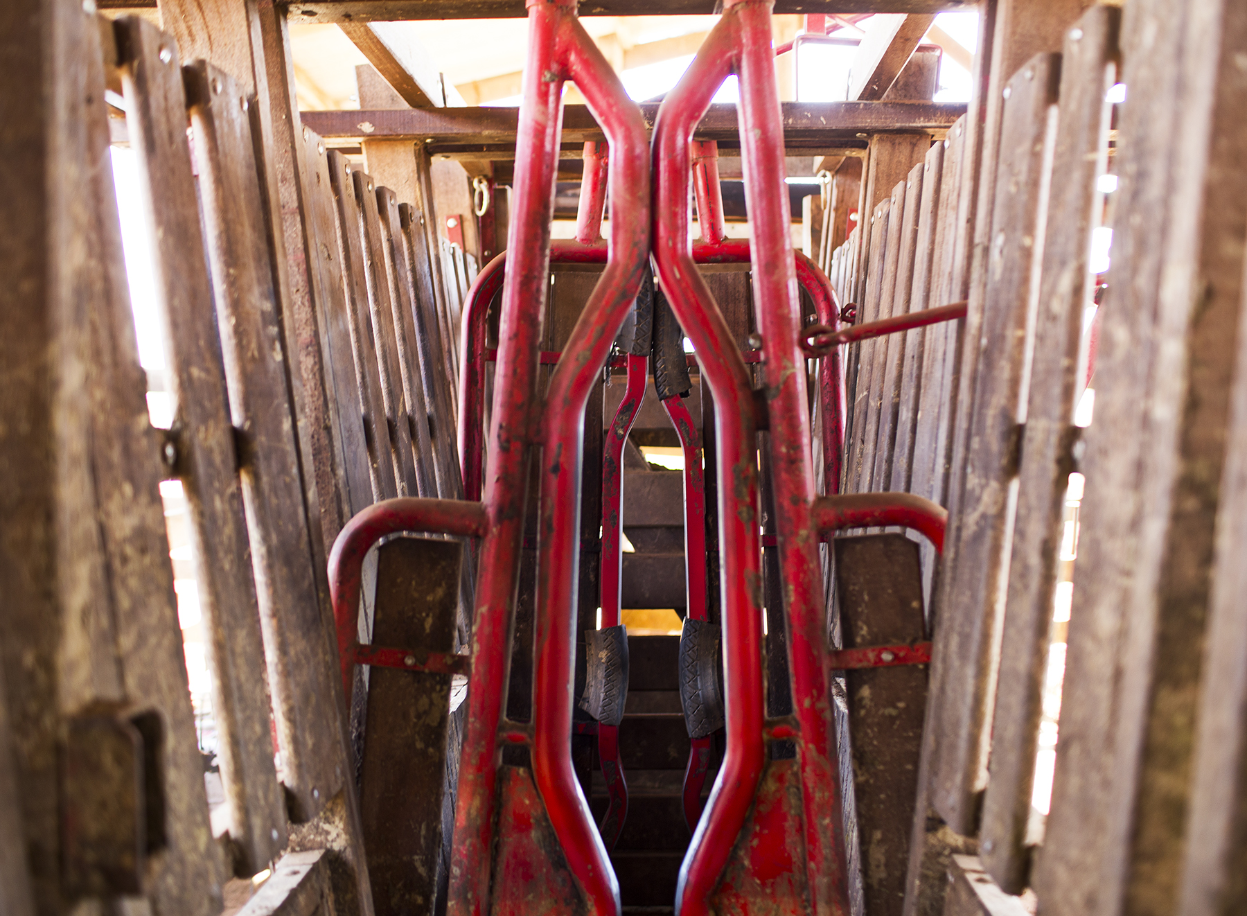 BRAZIL_MATO_GROSSO_FARM_7_27_2015_0254.jpg