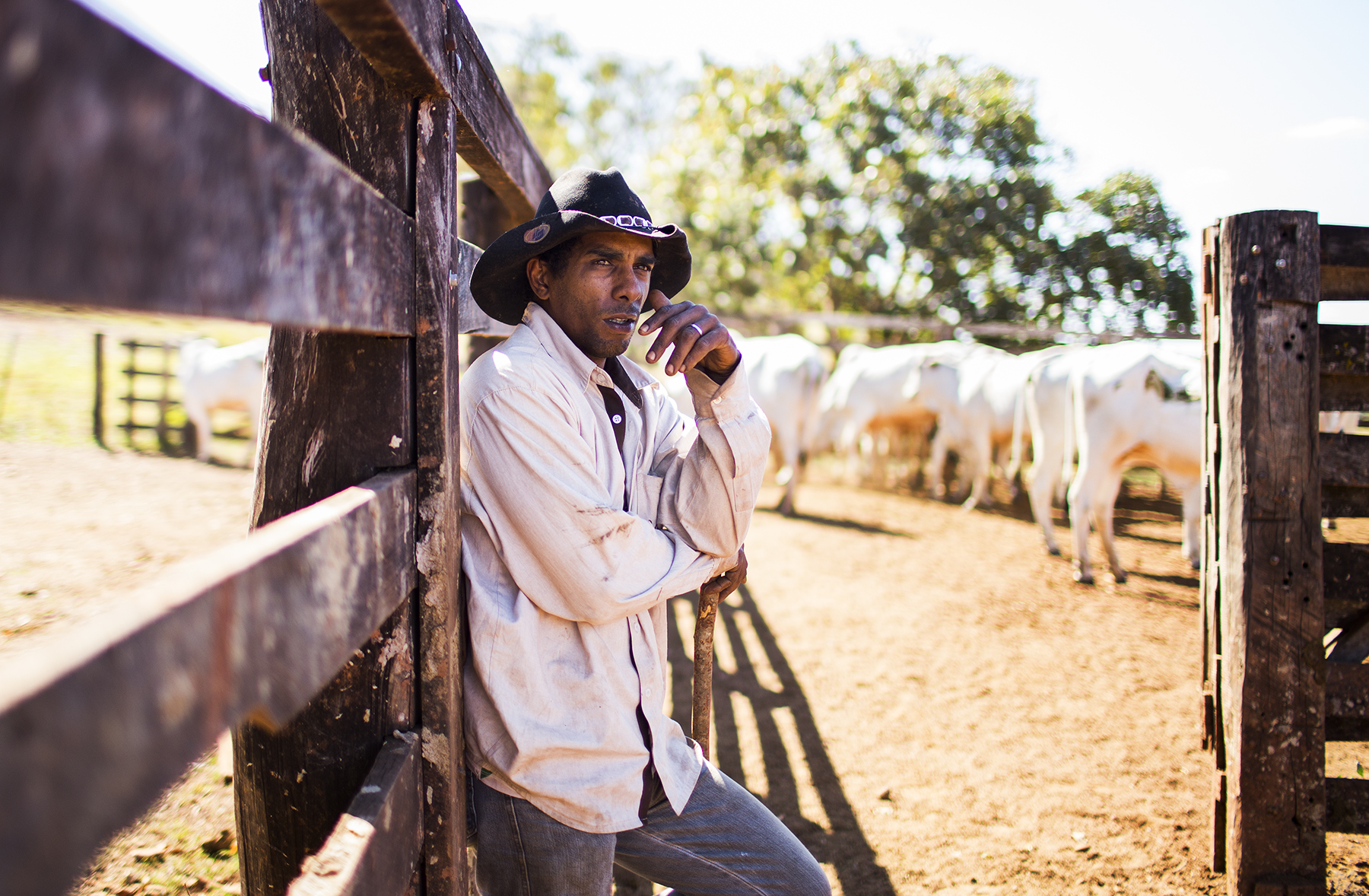 BRAZIL_MATO_GROSSO_FARM_7_27_2015_0721.jpg