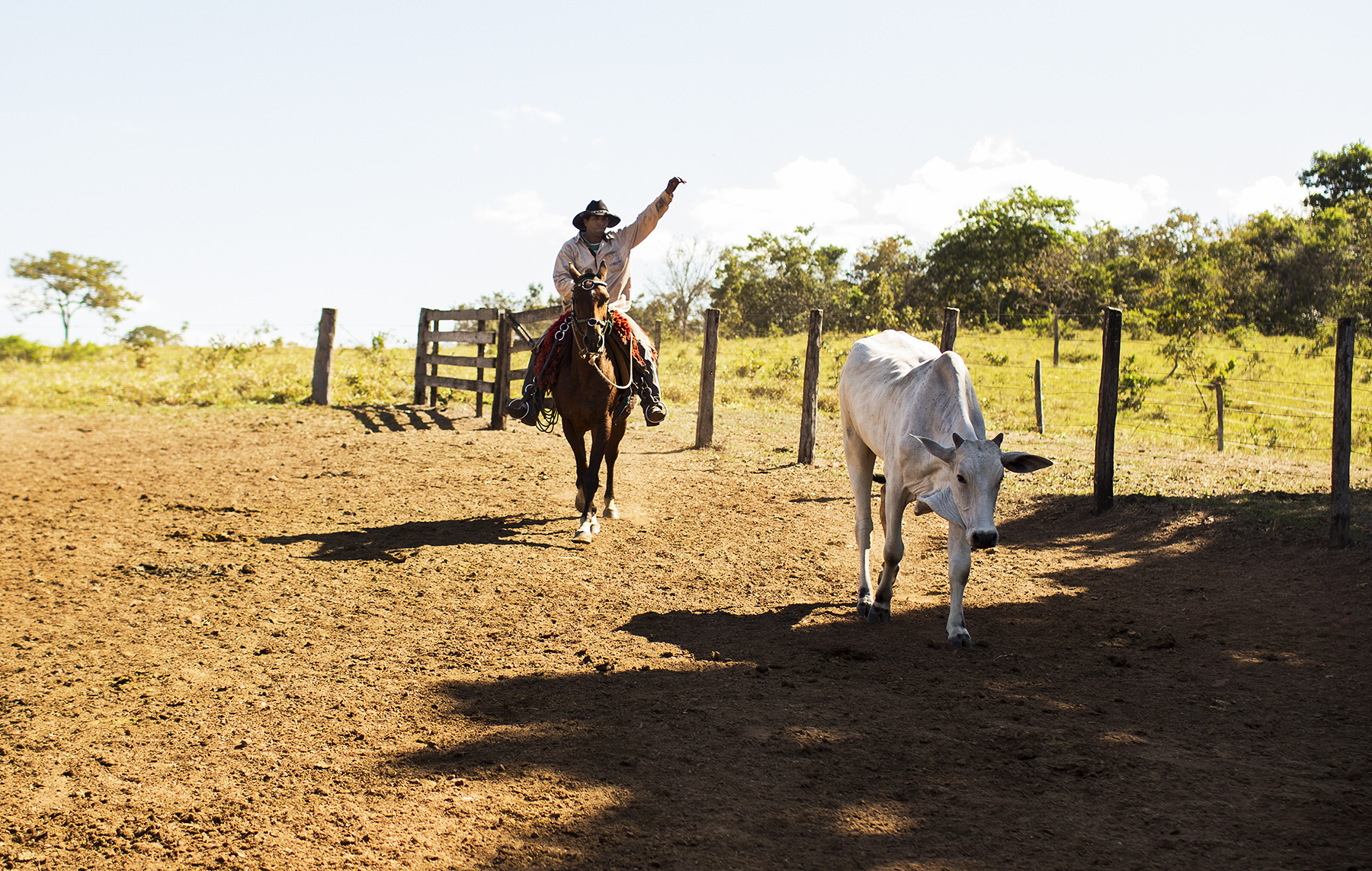 BRAZIL_MATO_GROSSO_FARM_7_27_2015_0701.jpg