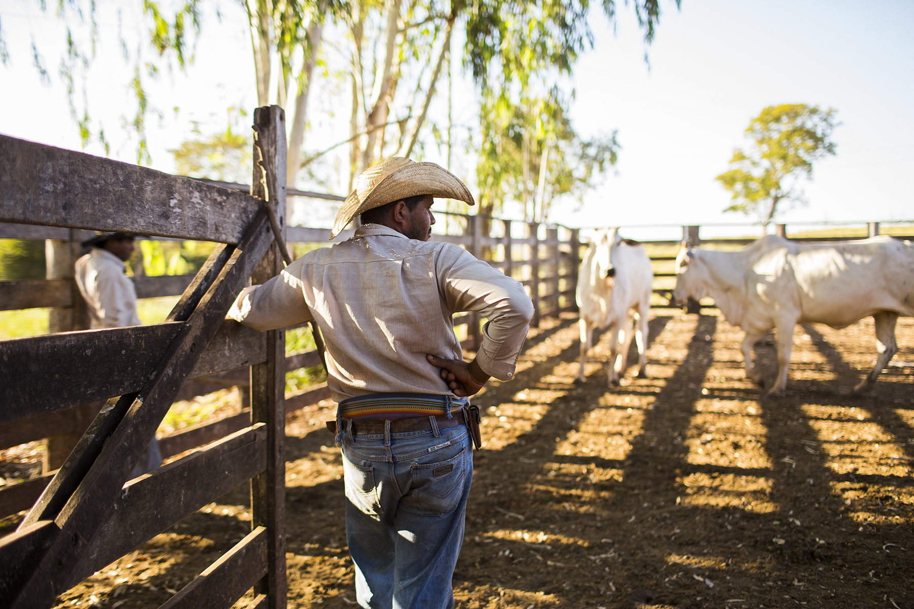 BRAZIL_MATO_GROSSO_FARM_7_27_2015_0918.jpg