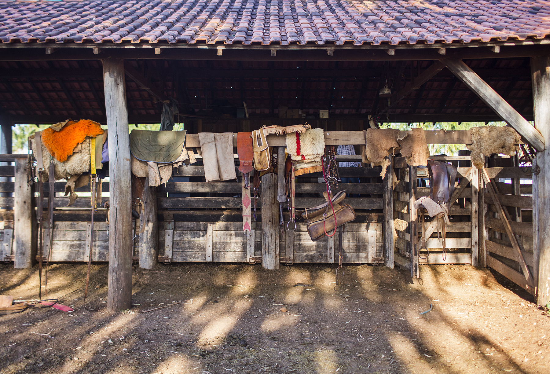 BRAZIL_MATO_GROSSO_FARM_7_27_2015_0924.jpg