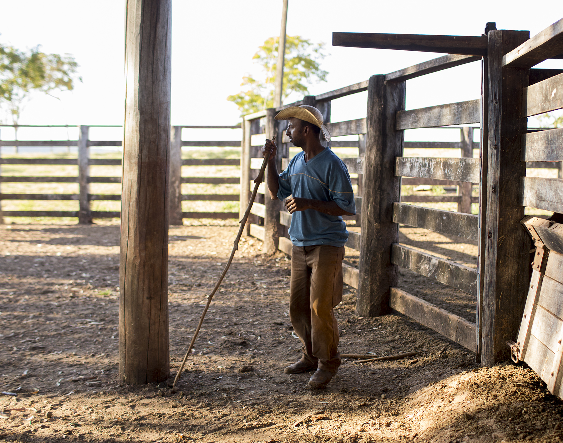 BRAZIL_MATO_GROSSO_FARM_7_27_2015_0971.jpg