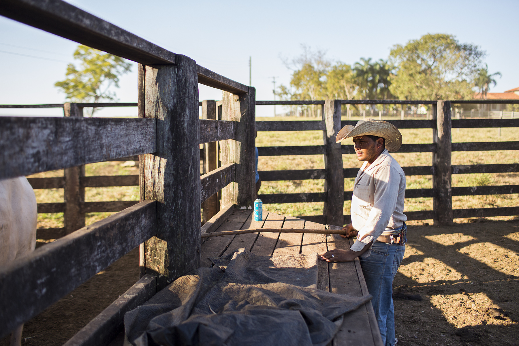 BRAZIL_MATO_GROSSO_FARM_7_27_2015_0980.jpg