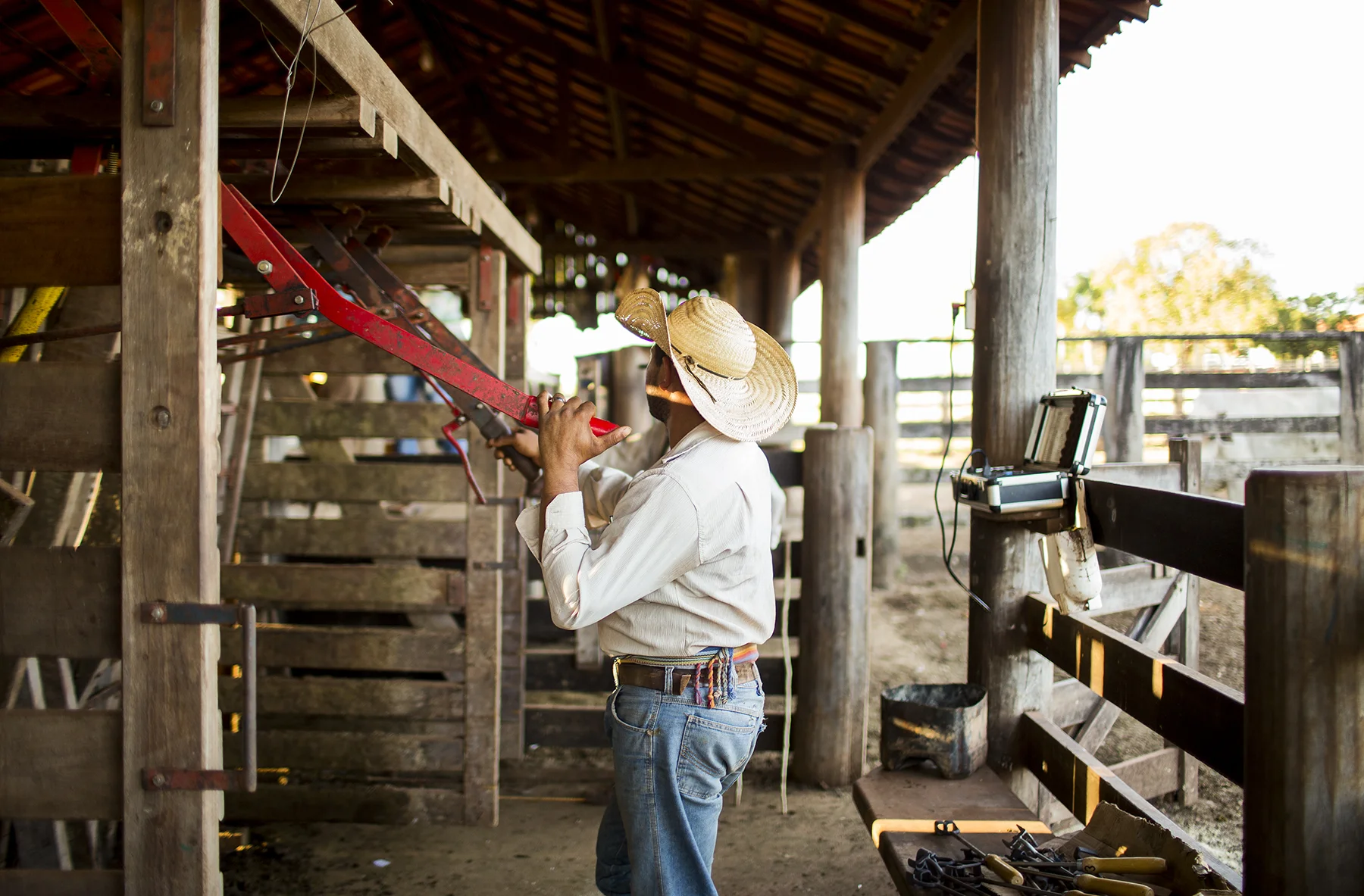 BRAZIL_MATO_GROSSO_FARM_7_27_2015_0987.jpg